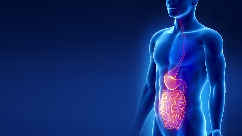 Home gastro male art