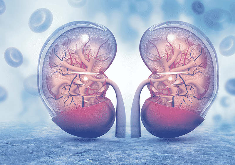 Home nephrology dubai